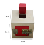 Permanence Box with 1 Geometric Shape