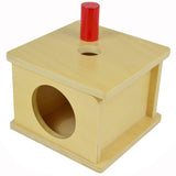 Permanence Box with 1 Geometric Shape