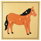 Montessori-style wooden puzzle featuring various animals and plants