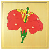 Montessori-style wooden puzzle featuring various animals and plants