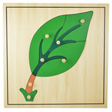 Montessori-style wooden puzzle featuring various animals and plants