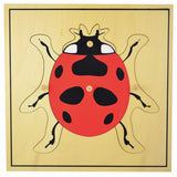 Montessori-style wooden puzzle featuring various animals and plants