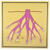 Montessori-style wooden puzzle featuring various animals and plants